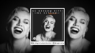 Sezen Aksu - Ne Kavgam Bitti Ne Sevdam Remix (AllegroEdit)