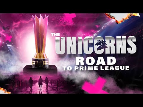 The Epic Journey That Led Us to Prime League