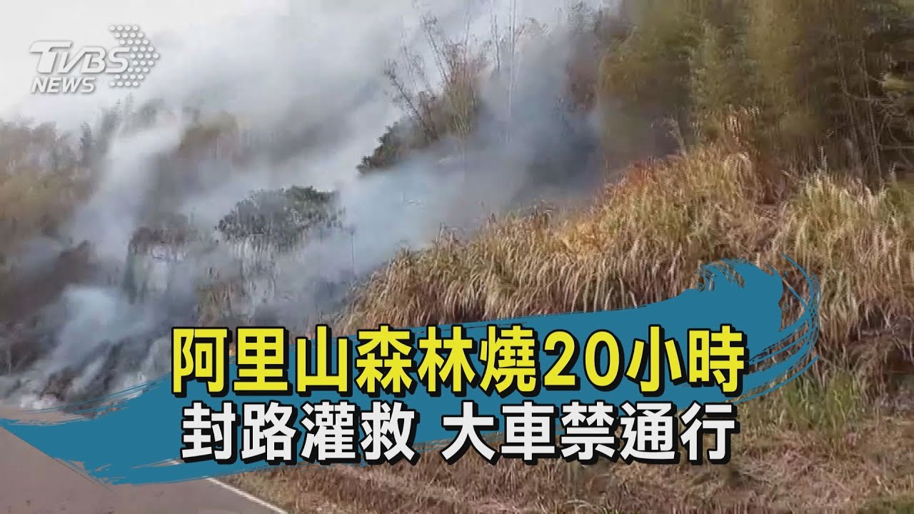 阿里山森林大火「濃煙覆蓋山巒」　狂燒20小時未滅