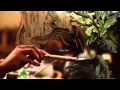 Peter Bjorn and John - May Seem Macabre