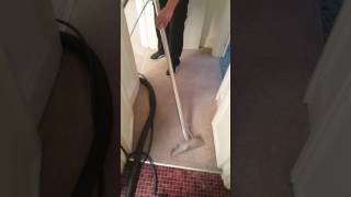 Album cover: Steam clean the carpet 👌 😎 🤔 🙌 