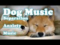 3 HOURS Of Deep Separation Anxiety Music For Dog Relaxation Helped 4 Million Dogs Worldwide NEW