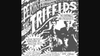 Bright Lights Big City - The Triffids