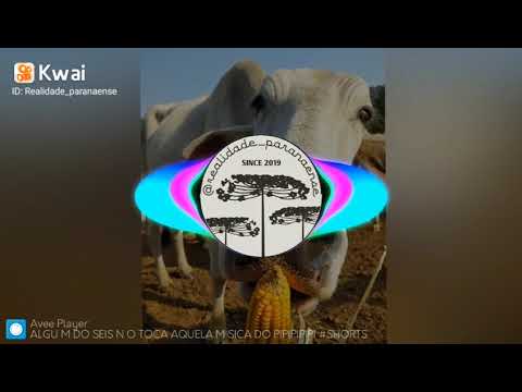 alguém de vocês não toca aquela mais rústica ,pipipipi