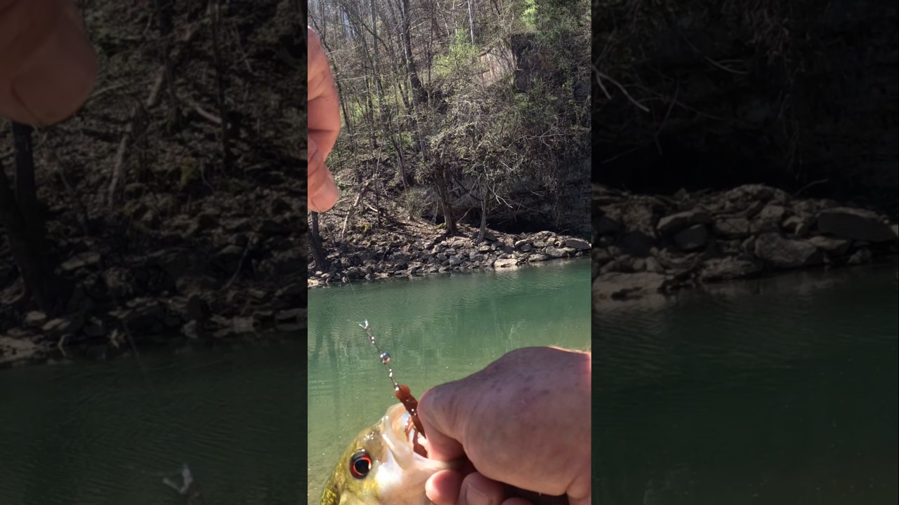 @CreekLifeLureCo micro bladed jig. #god #jesus