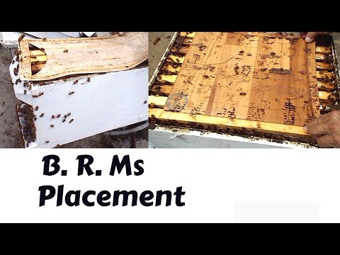 Episode 4. Placing Brood Rearing Mats (B. R. Ms)  on hives #HobbyistBeekeeper #Bees
