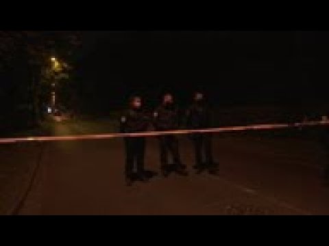Suspect in attack on French teacher shot by police
