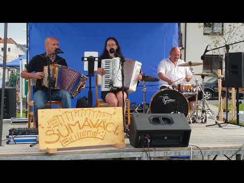 ŠUMAVÁCI - Mugraurovi koně