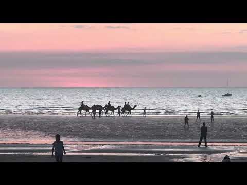 Darwin Camel Ride #camelride #darwin #travel