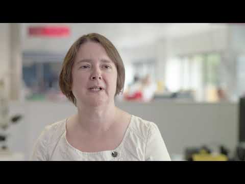 Idexx reference laboratories' global digital pathology network