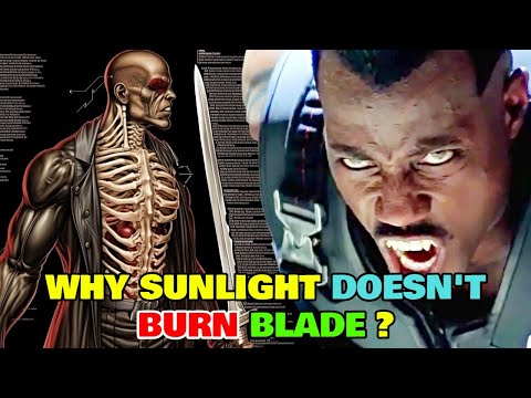 Blade Anatomy Explored - Why Sunlight Doesn't Burn Blade? Does He Have To Drink Blood To Be Alive?