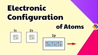 Electronic Configuration of Atoms | Structure of Atom | Class 11th & 12th | Science