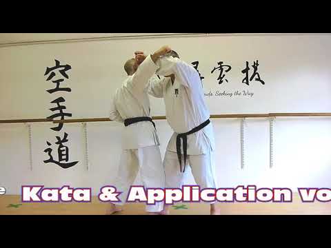 Heian Nidan Bunkai Strategies 2020 week 43 koryu karate oyo jutsu