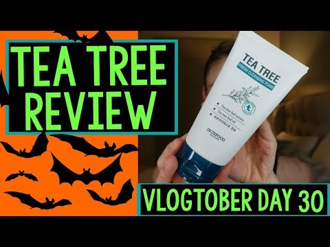 Vlogtober Day 30: SKINFOODS TEA TREE SKIN CARE REVIEW|Dr Dray
