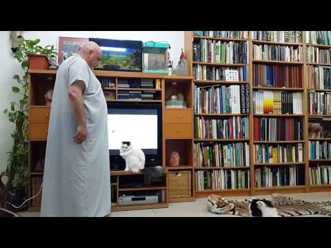 Cat Baq'a climbing on Prof. Norman Khalaf 20.11.2016