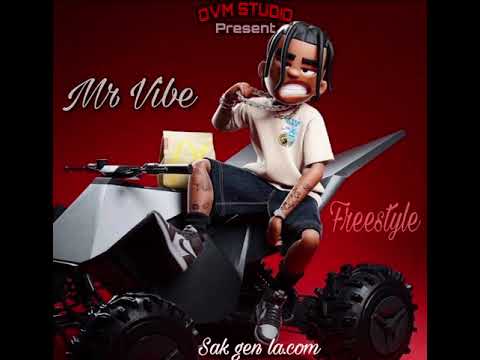 Mr Vibe - Freestyle