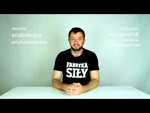 Pompowanie dla wszystkich grup mięśniowych Anatomia funkcjonalna mięśni