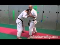 Practical Kata Bunkai Niseishi Nijushiho Bunkai Drill