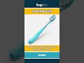 toothbrush (noun) - definition and usage in English