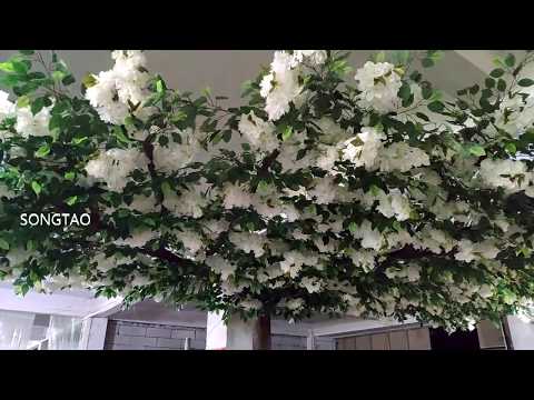 download lagu mp3 mp4 Fake Fall Trees For Weddings, download lagu Fake Fall Trees For Weddings gratis, unduh video klip Fake Fall Trees For Weddings