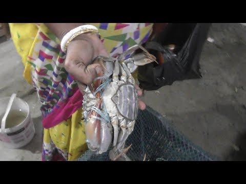 Big Size Crab Selling at Bakkhali Sea Beach West Bengal India | Street Food Loves You Video