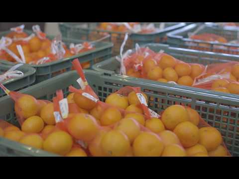 やまぐち映像図鑑 NO.024 道の駅サザンセトとうわ［周防大島町］ | Sazanseto Towa Road Station [ Suooshima-town ]