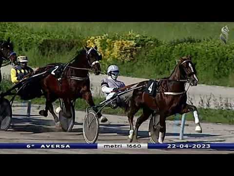 Aversa trotto 22 Aprile 2023 - 6° Corsa