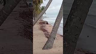 Why Chennai Can NEVER Build an Airport in the Sea