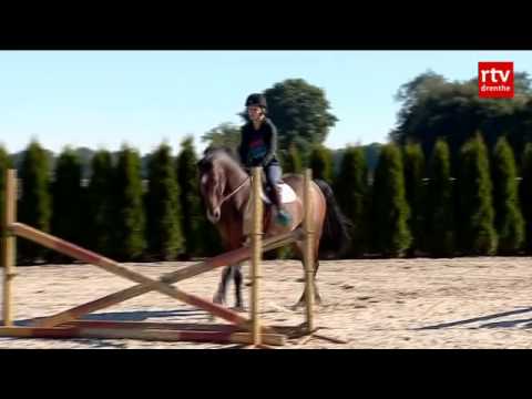 Veel vraag naar paard Drentse springruiter Bonder