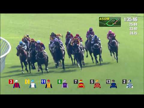 21/11/2021 (191) Entrusted - A Badel