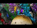 Finding Nemo Escape From The Fish Tank