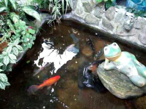 LAGUINHO3 100_1057.mov