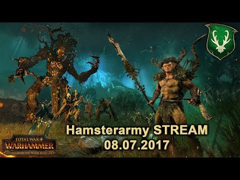 Waldelfen-Kampagnen #01! STREAM - Total War: Warhammer [Deutsch]