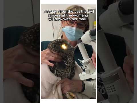 Besties forever ❤️ #animals #wholesome