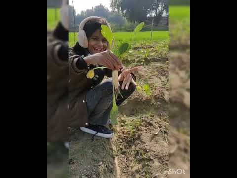 🌱 "feel the nature"🌱#kanupriya blogger#nature❤️