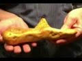 12 pound (177 ounce) gold nugget found 
