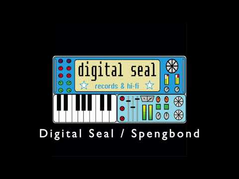 Digital Seal feat Spengbond