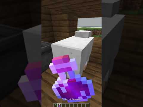 Top Minecraft Tricks about POTIONS