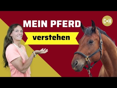 MEIN PFERD VERSTEHEN - TIERKOMMUNIKATION mit dem PFERD lernen
