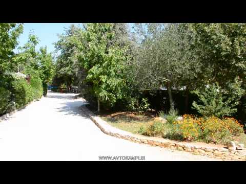Camp site Ulika - Rovinj - camping Croatia