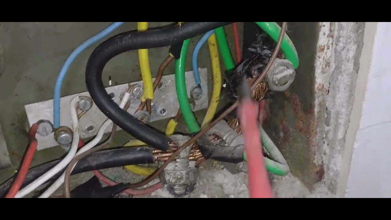 Dia a dia, Aprenda a ouvir, ser educado mas a acreditar...