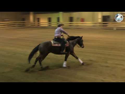 You Can Slide III 2018 NRHA Intermediate Open Hot Smokin Honey
