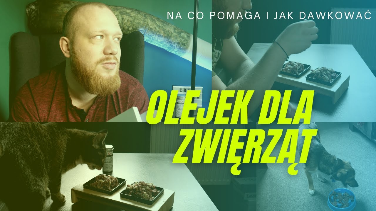 CBD dla ZWIERZĄT