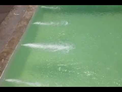 comment nettoyer la piscine quand l'eau est verte