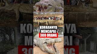 Download lagu GUSTAVE: Buaya Raksasa Burundi yang Disebut Memangsa 300 Orang — dan Tak Pernah Tertangkap mp3