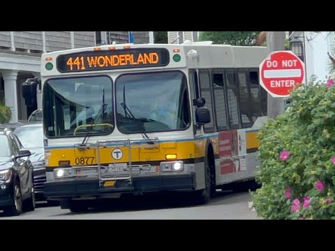 Daycore Strikes ~ For Mount Marblehead | Yoshi's Ride Series {S12-E33} - Riding the 441 🚌 - {MBTA}