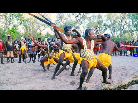 Ngarrag Nabi/Niwuda Gugu (Honey Bee) - Numbulwar Mardayin
