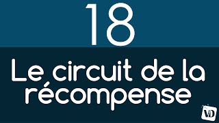 Vignette de Les 4 centres du circuit de la récompense