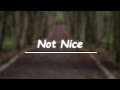 Megan Thee Stallion Not Nice Lyrics