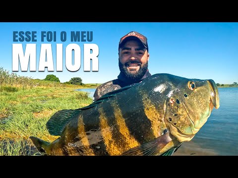 O maior Túcunaré da Temporada - Pesca Sub - ATASUB